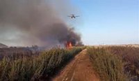 Los efectivos antiincendios prevén dar por controlado el fuego en s'Albufera a lo largo de la tarde