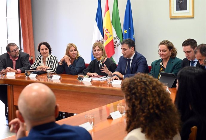 La alcaldesa de Jerez en la reunión del Hub Aeronáutico 'Net Zero Jerez'.