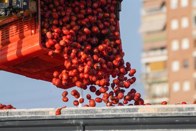 Archivo - Cientos de tomates son cargados en camiones 