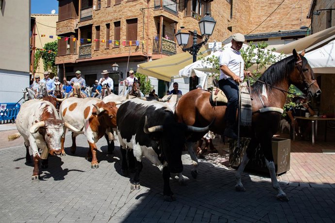 Archivo - Un rebaño trashumante bovino durante la Fiesta de la Fiesta de la Trashumancia, a 4 de agosto de 2024, en Manzanares El Real, Madrid (España). Un rebaño de bueyes recorre hoy la Cañada Real Segoviana a su paso por Manzanares El Real durante la