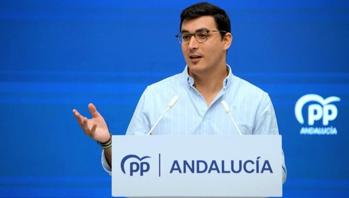 El vicesecretario de Educación, Universidad y Representación Estudiantil del PP-A, José Carlos García, en rueda de prensa.