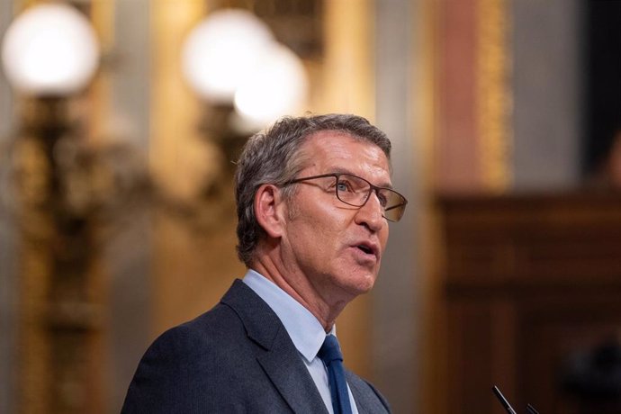 El presidente del Partido Popular, Alberto Núñez Feijóo, interviene durante una sesión plenaria, en el Congreso de los Diputados, a 10 de octubre de 2024, en Madrid (España). El Pleno del Congreso debate y vota el dictamen aprobado por la Comisión de Dere