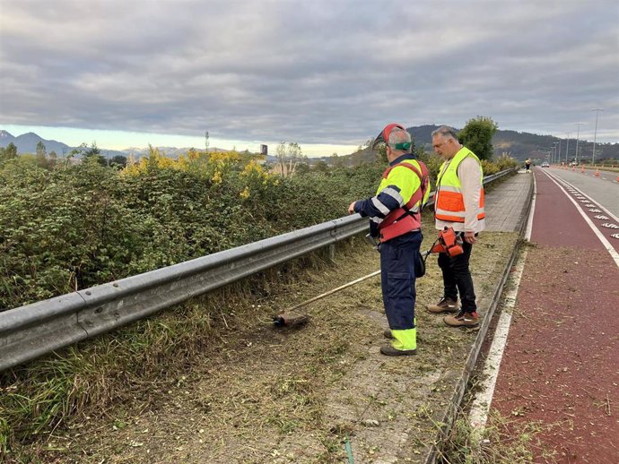 Iniciados los trabajos de desbroce y limpieza en los accesos a Parque Principado