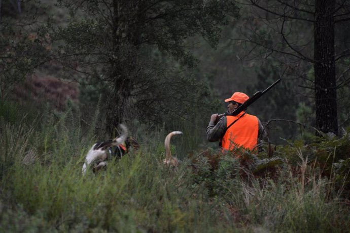 Un cazador en los montes de Cameixa, en el municipio ourensano de Boborás, durante el primer día de declaración de emergencia cinegética en Galicia, que permite cazar jabalís sin límite hasta febrero