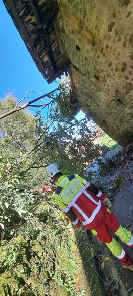 Bomberos retiran un árbol caído sobre un tendido eléctrico en Cabuérniga