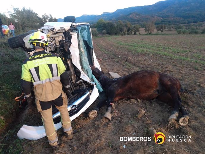 Imagen del accidente ocurrido este sábado en Capella (Huesca) en el que un conductor ha resultado herido tras impactar su vehículo contra un caballo suelto en la A-1205.