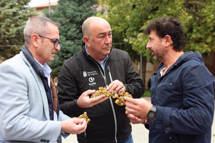 El Presidente De La Diputación De Segovia, Miguel Ángel De Vicente, Visita La Fiesta De La Vendimia De Moraleja De Coca