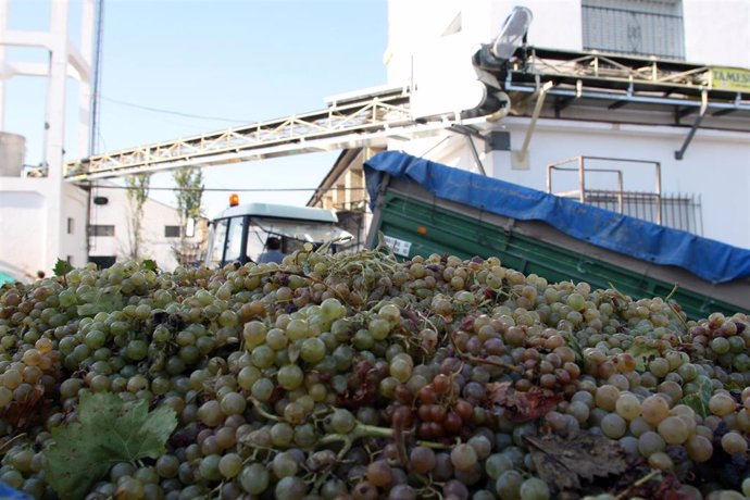 Archivo - Cooperativa agrícola productora de vino