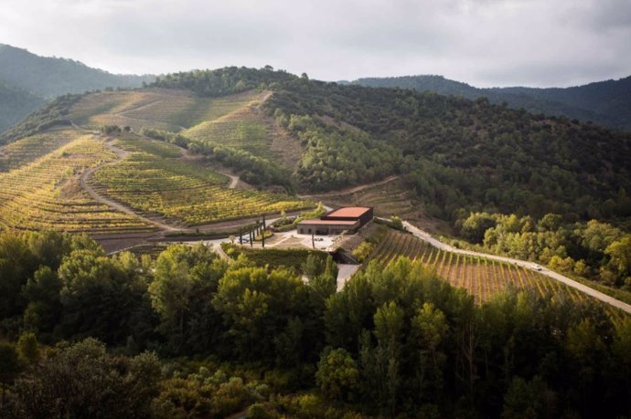 La bodega catalana Perinet abre nuevos mercados en América Central y Europa del Este para exportar