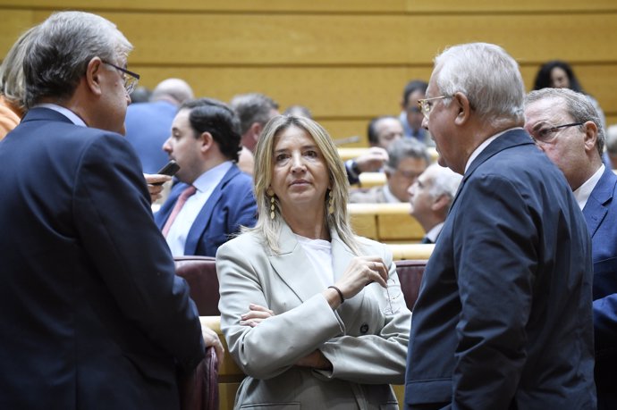 La senadora del PP Alicia García durante un pleno extraordinario en el Senado, a 14 de octubre de 2024, en Madrid (España).