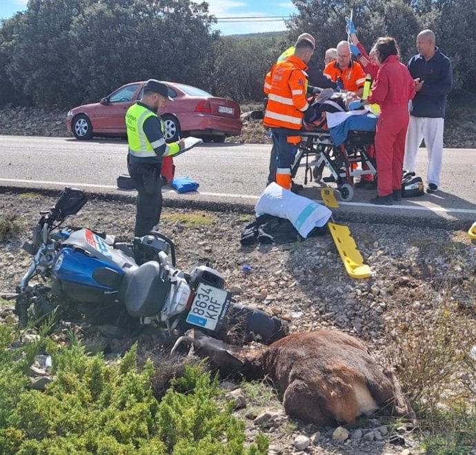 Momento en el que el motociclista herido tras chocar con su motocicleta contra un ciervo es evacuado este domingo en la A-2515, término municipal de Albarracín (Teruel).