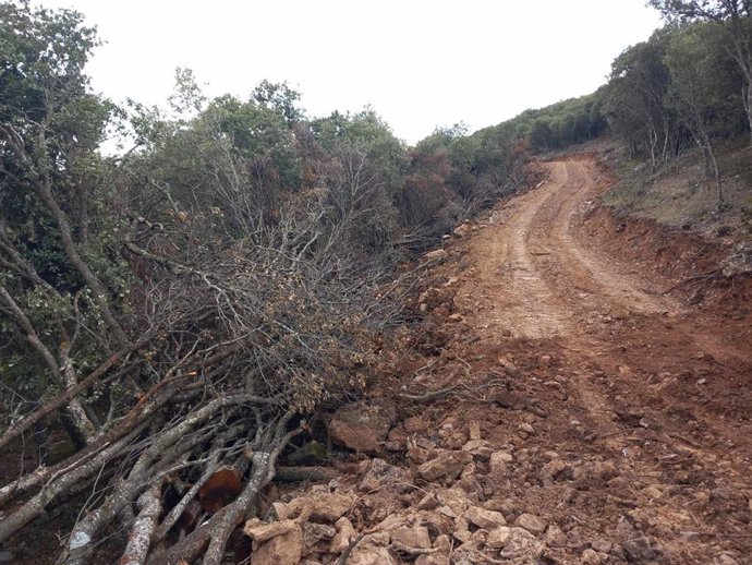 Pista realizada sobre árboles en La Rioja