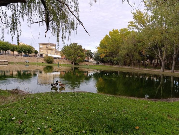 Un par de patos asoman en la Balsa de Jaulín (Zaragoza) en el entorno verde del Parque Botánico creado por los vecinos allá por 1984.