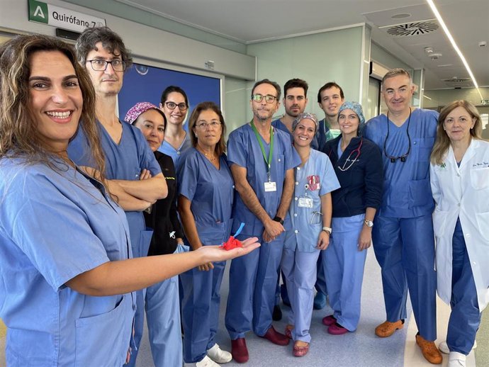 Equipo de especialistas del Hospital Universitario Virgen del Rocío de Sevilla.