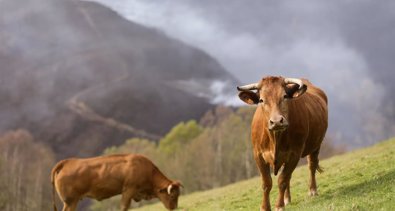 Galicia Rural