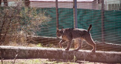 Es Andalucía - Jaén