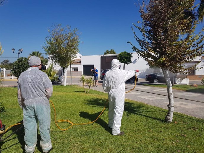 Archivo - Labores de fumigación en Los Palacios, en Sevilla.