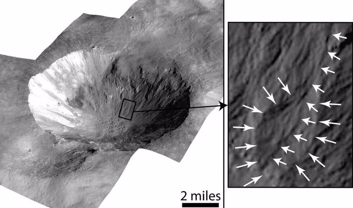 Esta imagen del cráter Cornelia en Vesta muestra depósitos lobulados (derecha) y barrancos curvilíneos (resaltados por las flechas blancas cortas, izquierda). Según un artículo publicado recientemente en The Planetary Science Journal,