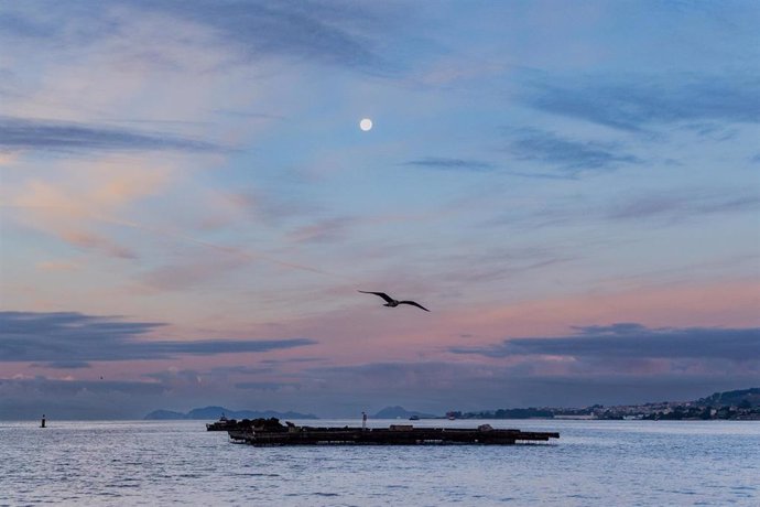 Archivo - Una batea para pescar mejillones, a 2 de septiembre, en Pontevedra, Galicia (España). La alta temperatura del agua, sin viento norte y el continuo desove del mejillón alarman a los 'bateeiros'. El sector explica que la concha tiene "un buen crec