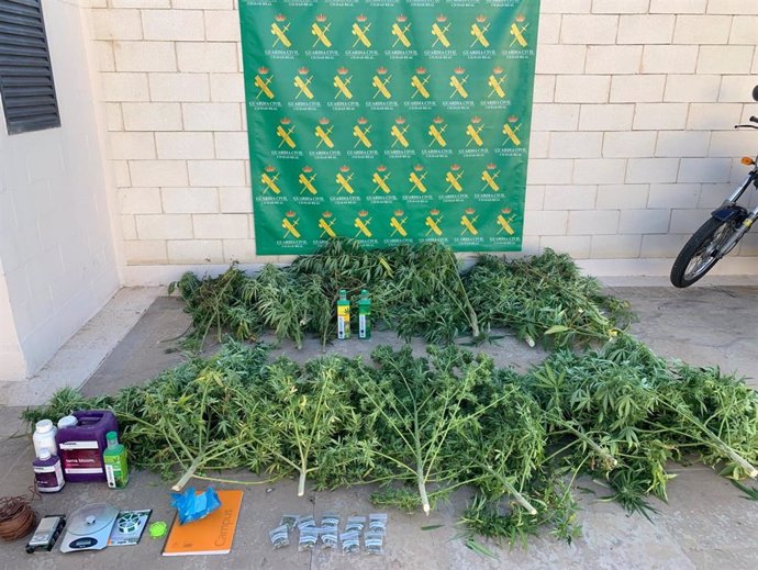 La operación 'Pergal' deja tres detenidos y 17 kilos de marihuana incautados en Tomelloso.