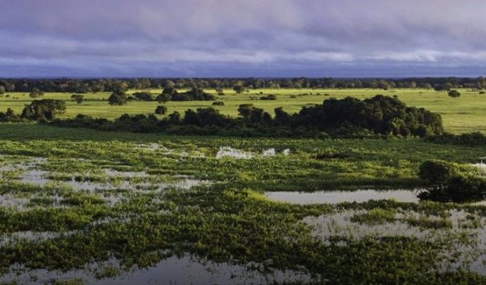 Los humedales son una de las fuentes microbianas de emisiones de metano