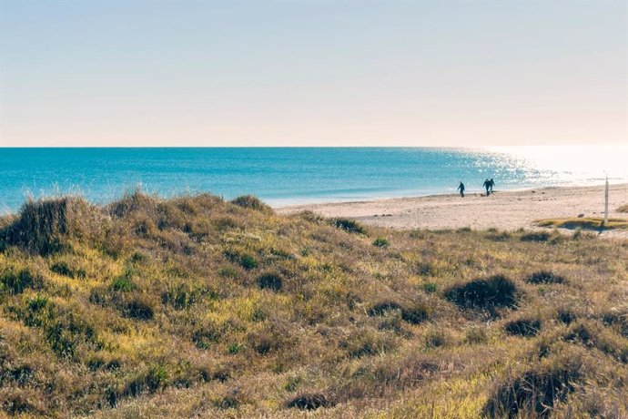 Archivo - Imagen del litoral de la Comunitat Valenciana