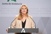 Andalucía teme un "nuevo agravio" si el Gobierno cede al País Vasco competencias en el impuesto a las energéticas