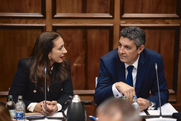 La consejera portavoz de CC en el Cabildo de Gran Canaria, Vidina Cabrera, y el también consejero del grupo nacionalista, Julio Rodríguez