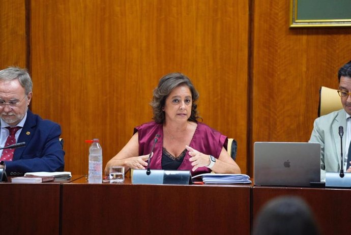 La consejera de Sostenibilidad de la Junta de Andalucía, Catalina García, en la comisión parlamentaria del 22 de octubre de 2024.