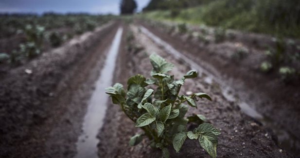 Galicia Rural