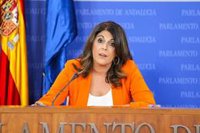 PSOE-A sopesa ampliar su demanda por contratos sanitarios tras elevar a "1.223 millones" el dinero "robado a la pública"