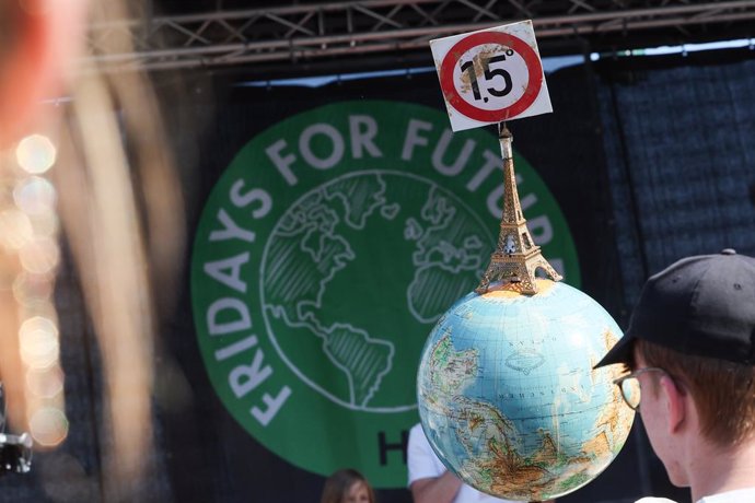 Archivo - 20 September 2024, Hamburg: A person demonstrates on Willy-Brandt-Strasse in Hamburg to mark Fridays for Future's global climate strike. Photo: Christian Charisius/dpa