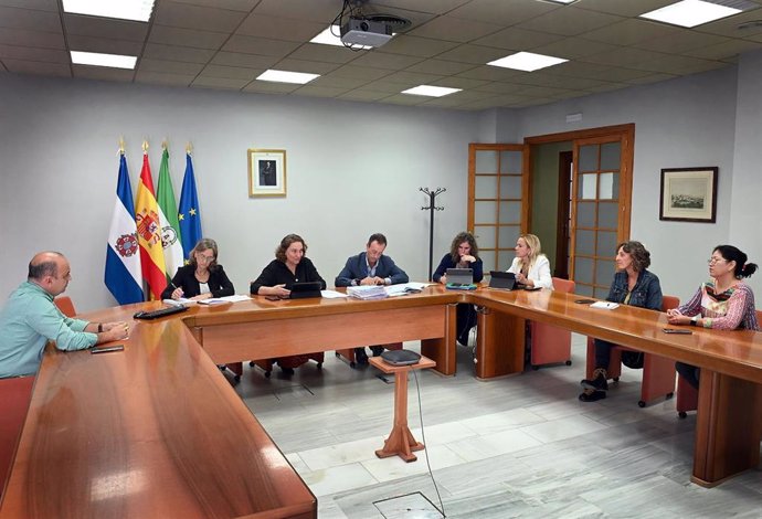 La delegada de Urbanismo en el Ayuntamiento de Jerez de la Frontera (Cádiz), Belén de la Cuadra, en la reunión del Consejo de Administración de Emuvijesa.