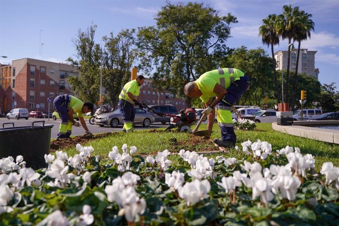 Técnicos plantando flores en la rotonda junto al Parque de Bomberos de Huelva.