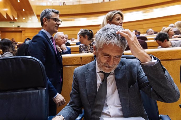 El ministro del Interior, Fernando Grande-Marlaska, durante una sesión plenaria en el Senado