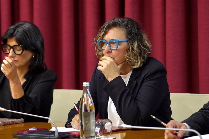 La concejala de Podemos-IU en el Ayuntamiento de Logroño, Amaia Castro, durante el Debate sobre el Estado de la Ciudad