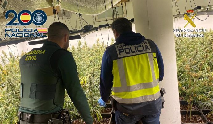 Desarticulan dos centros de producción de marihuana en Ogíjares con 1.129 plantas.