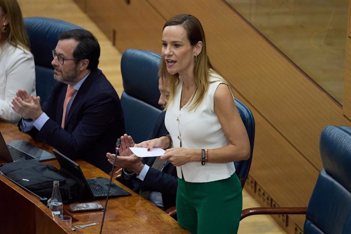 La portavoz del grupo parlamentario de Vox en la Asamblea de Madrid, Isabel Pérez Moñino-Aranda, durante un pleno en la Asamblea de Madrid, a 24 de octubre de 2024