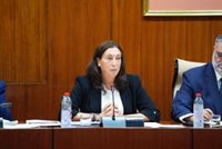 La Junta prevé que las listas de espera de Dependencia y el número de solicitudes "cuadrarán en pocos meses"