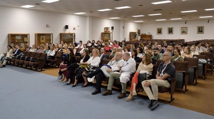 Profesionales se reúnen para actualizar criterios sobre traumatismos craneoencefálicos leves