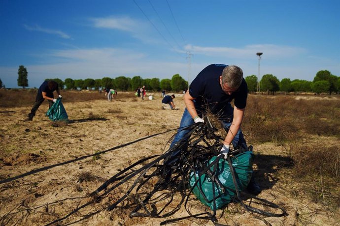 Voluntarios limpiando en el entrono de Doñana.