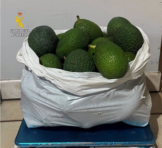 Foto de archivo de una bolsa de aguacates robados que fue intervenida por la Guardia Civil