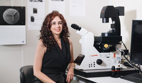 Investigación