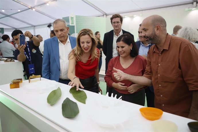 El consejero de Empleo y Educación del Cabildo de Tenerife, Efraín Medina, la presidenta, Rosa Dávila, y la presidenta de la Fecam, Mari Brito, en una sesión del proyecto MIDA