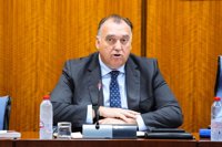 El PSOE-A critica que la Junta "sepa pero oculte" el problema de la saturación turística en Andalucía