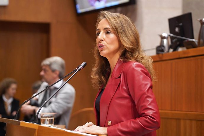 La diputada del PP María Navarro.