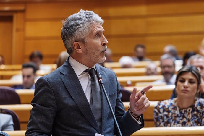 El ministro del Interior, Fernando Grande-Marlaska, interviene durante una sesión plenaria,  en el Senado