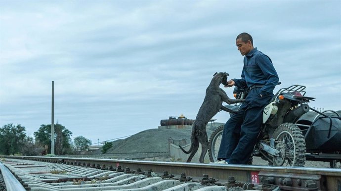 Fotograma de la cinta china 'Black dog' que llega este viernes a la Seminci