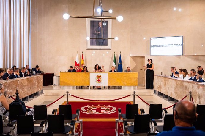 Pleno del Ayuntamiento de Almería en una imagen de archivo.