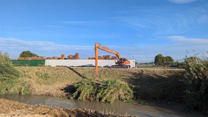 Imagen de los trabajos de restauración medioambiental en el río Segura